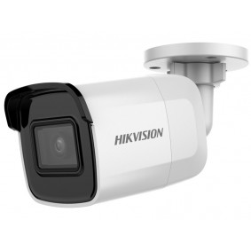 Camera Hikvision DS-2CD2021G1-I